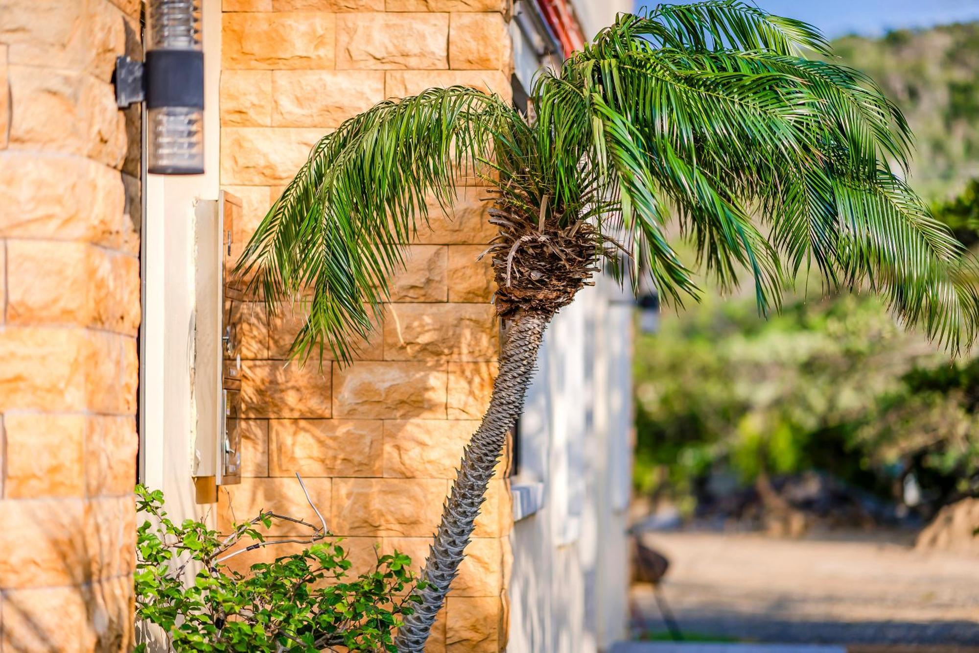 Southern Sun Homestay North Kenting Exterior photo